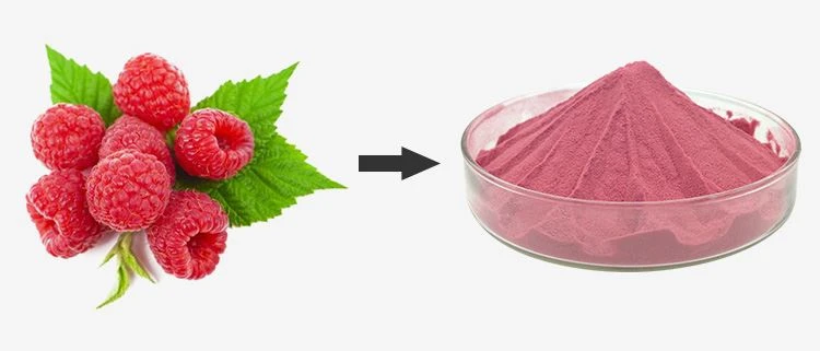 Raspberry Juice Powder 1 Raspberry Juice Powder 1