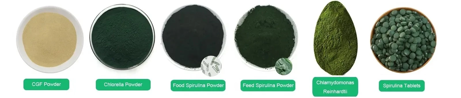 Chlorella Growth Factor Chlorella Growth Factor
