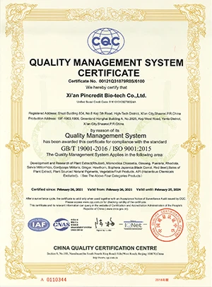 ISO9001 Certificate ISO9001 Certificate