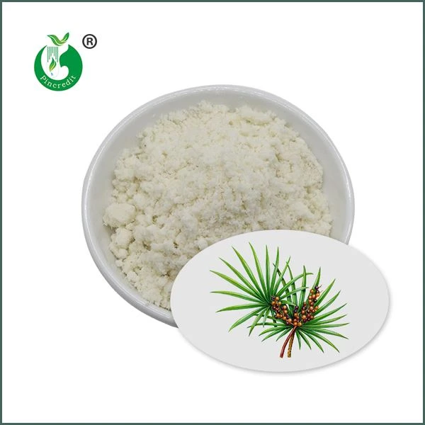 Sag Palmetto ekstraktpulver