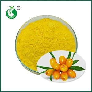 Seabuckthorn Juice Powder Egenskaper, bruk og produksjonsprosess
