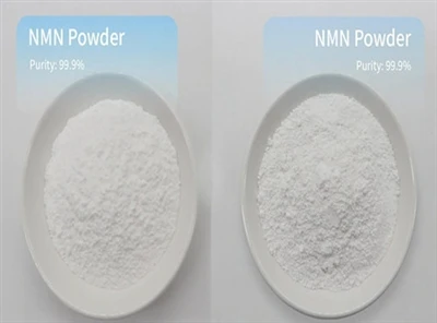 Har NMN Powder blitt forbudt?