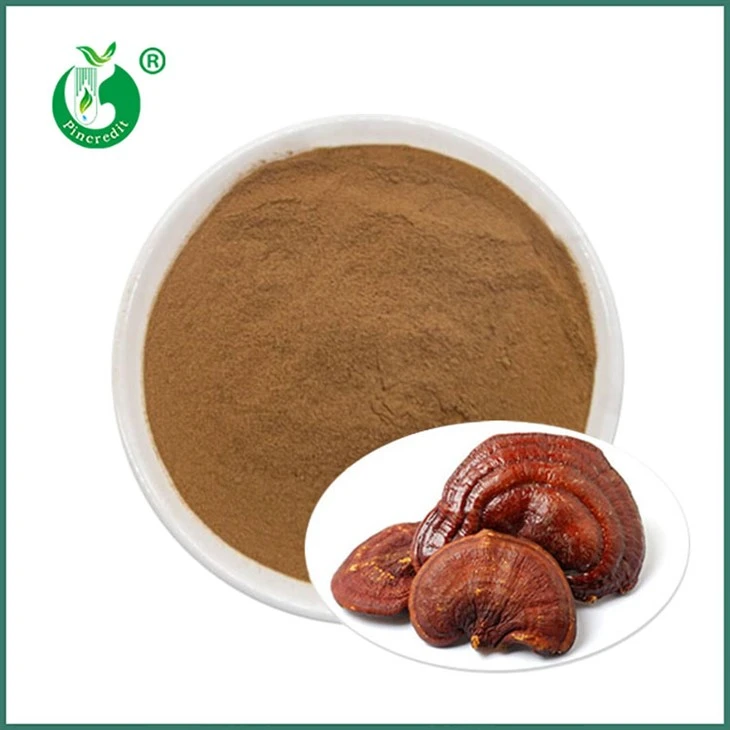 Reishi ekstrakt pulver