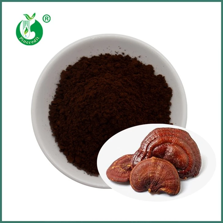 Reishi Sporepulver