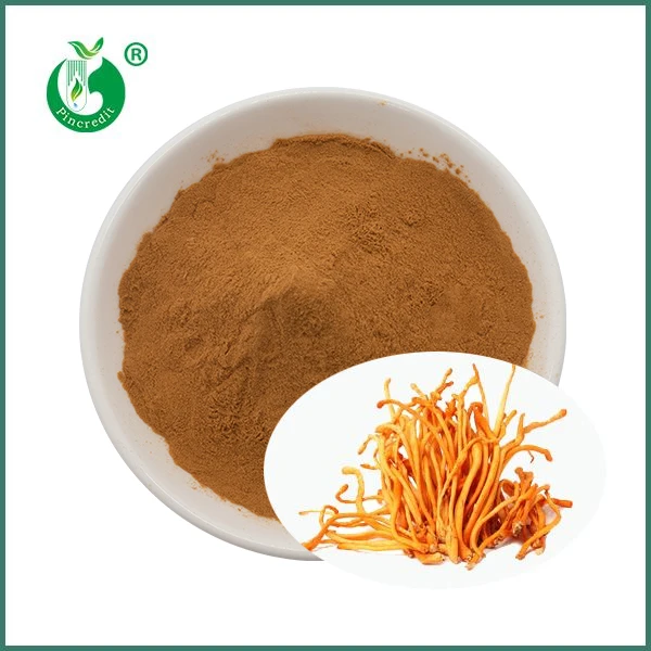 Cordyceps Militaris ekstraktpulver