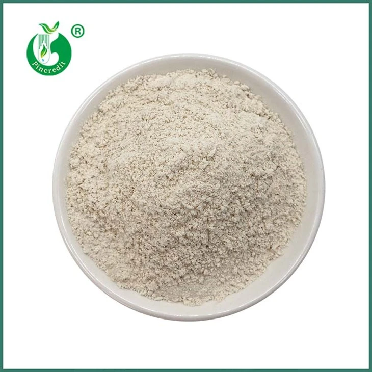 Trans Resveratrol Pulver